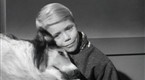 Lassie - The Christmas Story
